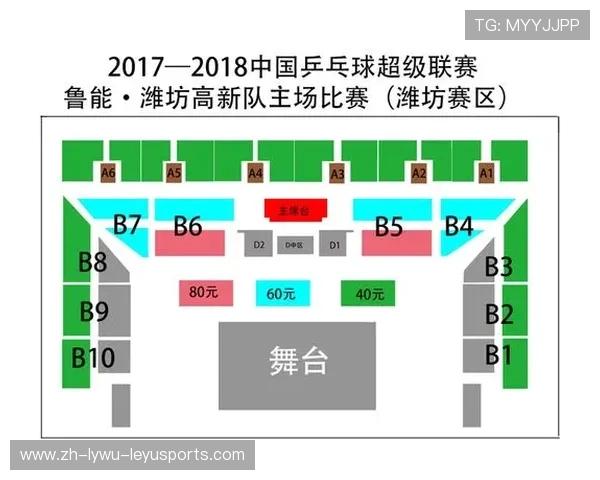 足球赛事的观众体验优化与票务管理体系研究